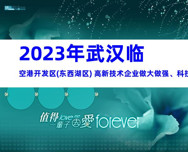2023年武汉临空港开发区(东西湖区) 高新技术企业做大做强、科技服务机构、科技成果转化申报条件、奖励